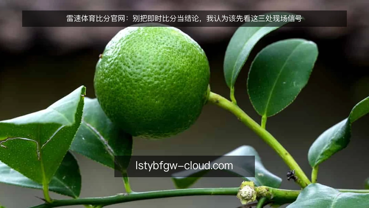 雷速体育比分官网：别把即时比分当结论，我认为该先看这三处现场信号